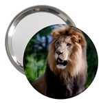 Regal Lion 3  Handbag Mirror Front