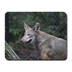 Shdsc 0417 10502cow Small Mouse Pad (rectangle)