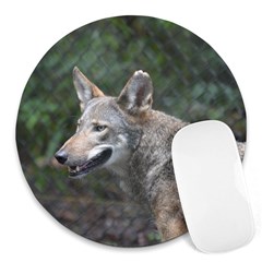 Shdsc 0417 10502cow 8  Mouse Pad (round)