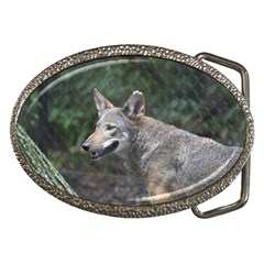 Shdsc 0417 10502cow Belt Buckle (oval)