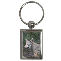 Shdsc 0417 10502cow Key Chain (rectangle)