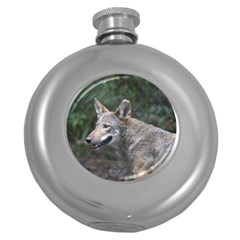 Shdsc 0417 10502cow Hip Flask (round)