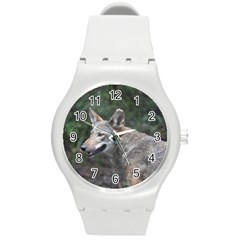 Shdsc 0417 10502cow Plastic Sport Watch (medium) by AnimalLover