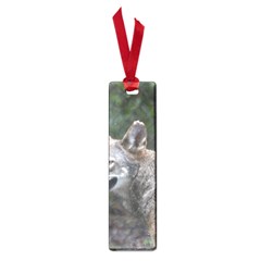 Shdsc 0417 10502cow Small Bookmark by AnimalLover