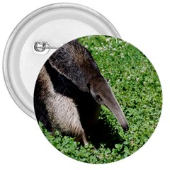 Giant Anteater 3  Button