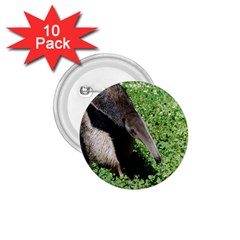 Giant Anteater 1 75  Button (10 Pack)