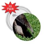 Giant Anteater 2.25  Button (10 pack) Front