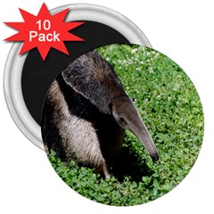 Giant Anteater 3  Button Magnet (10 Pack) by AnimalLover