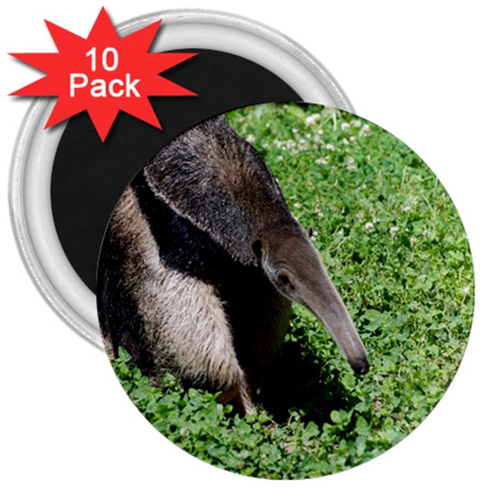 Giant Anteater 3  Button Magnet (10 pack)