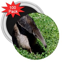 Giant Anteater 3  Button Magnet (100 Pack)