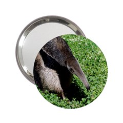 Giant Anteater Handbag Mirror (2 25 )