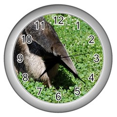 Giant Anteater Wall Clock (silver)