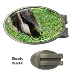 Giant Anteater Money Clip (oval) by AnimalLover