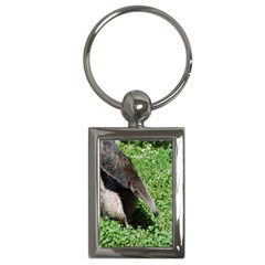 Giant Anteater Key Chain (rectangle)