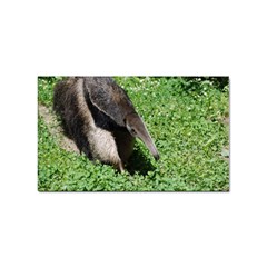 Giant Anteater Sticker (rectangle) by AnimalLover