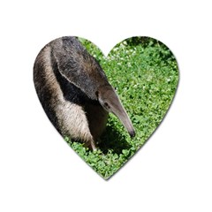 Giant Anteater Magnet (heart) by AnimalLover