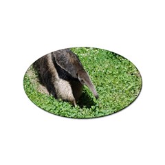 Giant Anteater Sticker 10 Pack (oval) by AnimalLover