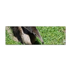 Giant Anteater Bumper Sticker 10 Pack by AnimalLover