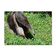 Giant Anteater A4 Sticker 100 Pack by AnimalLover