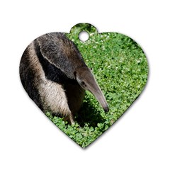 Giant Anteater Dog Tag Heart (two Sided) by AnimalLover