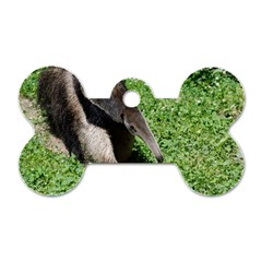 Giant Anteater Dog Tag Bone (two Sided)