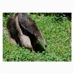 Giant Anteater Glasses Cloth (large) by AnimalLover