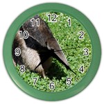 Giant Anteater Wall Clock (Color) Front