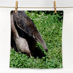 Giant Anteater Face Towel