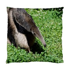 Giant Anteater Cushion Case (single Sided) 