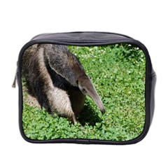 Giant Anteater Mini Travel Toiletry Bag (two Sides) by AnimalLover