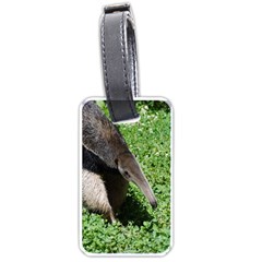 Giant Anteater Luggage Tag (one Side)