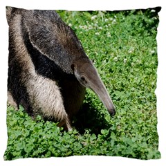 Giant Anteater Large Cushion Case (single Sided) 