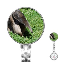 Giant Anteater Stainless Steel Nurses Watch by AnimalLover