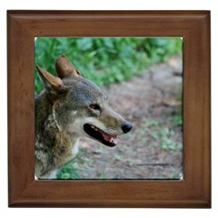 Red Wolf Framed Ceramic Tile by AnimalLover