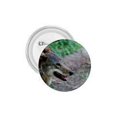 Red Wolf 1 75  Button by AnimalLover