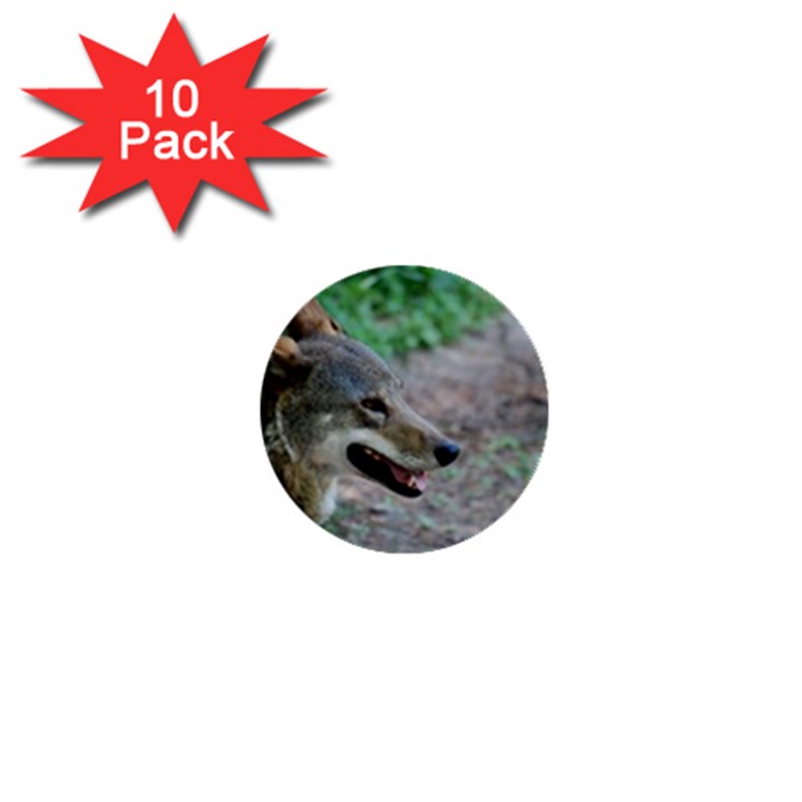 Red Wolf 1  Mini Button (10 pack)