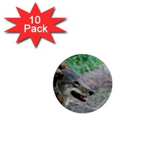 Red Wolf 1  Mini Button Magnet (10 Pack)