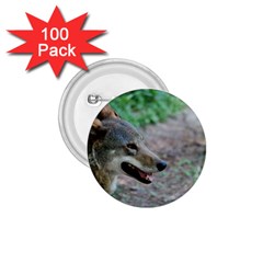 Red Wolf 1 75  Button (100 Pack)