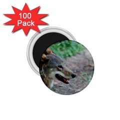 Red Wolf 1 75  Button Magnet (100 Pack)