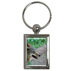 Red Wolf Key Chain (rectangle)