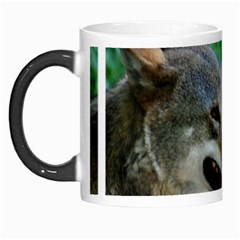 Red Wolf Morph Mug