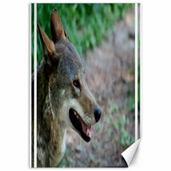 Red Wolf Canvas 12  X 18  (unframed)