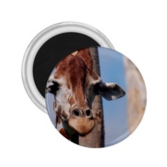 Cute Giraffe 2 25  Button Magnet