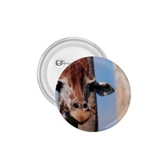 Cute Giraffe 1 75  Button