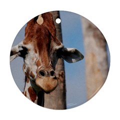 Cute Giraffe Round Ornament by AnimalLover