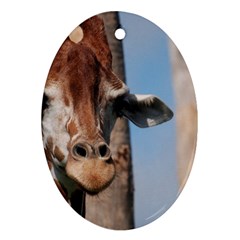 Cute Giraffe Oval Ornament by AnimalLover