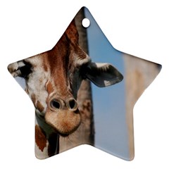 Cute Giraffe Star Ornament by AnimalLover