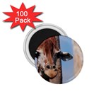 Cute Giraffe 1.75  Button Magnet (100 pack) Front