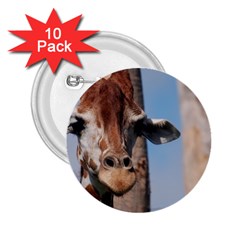 Cute Giraffe 2 25  Button (10 Pack)