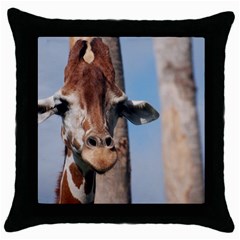 Cute Giraffe Black Throw Pillow Case